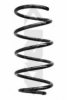 SPIDAN 86793 Coil Spring